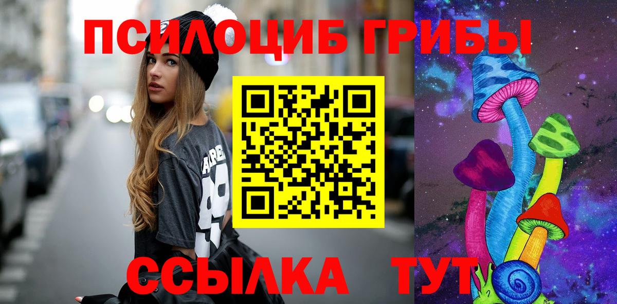 Псилоцибиновые грибы Psilocybe  Вход с VPN  Углич  Галлюциногенные грибы Magic Shrooms 