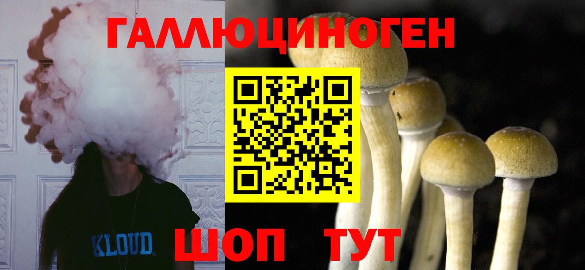 Псилоцибиновые грибы Cubensis Углич